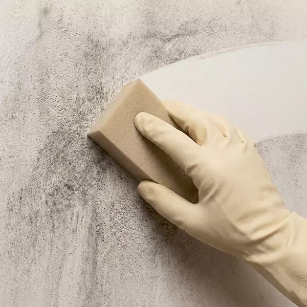 Smoke Cleaning in Thousand Oaks, CA 