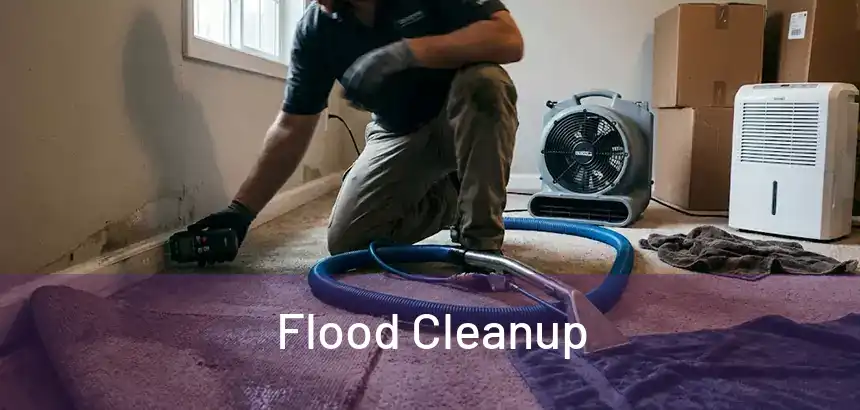  Flood Cleanup 