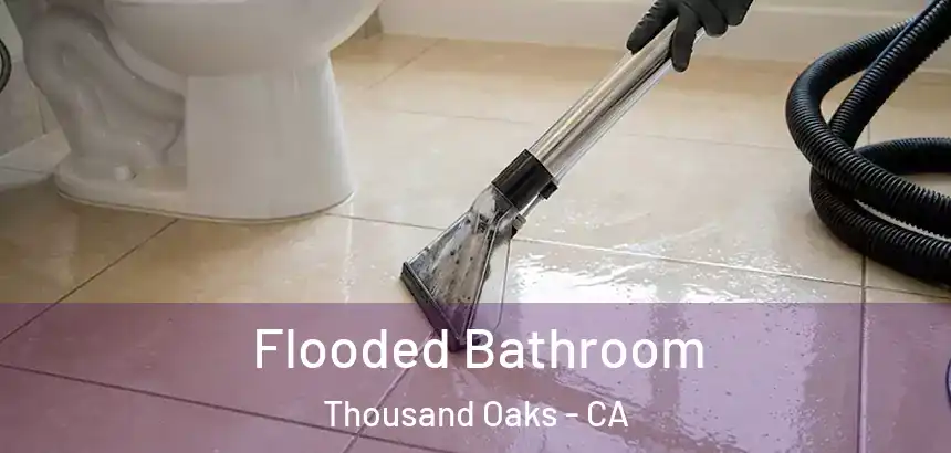  Flooded Bathroom Thousand Oaks - CA