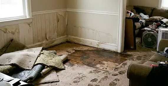 Why Choose Thousand Oaks Water Damage Pro For Water Damage Restoration Services in Thousand Oaks, CA?