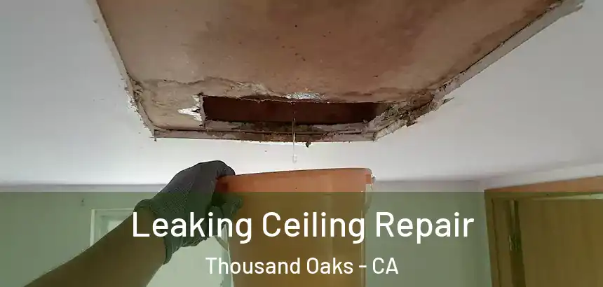 Leaking Ceiling Repair Thousand Oaks - CA