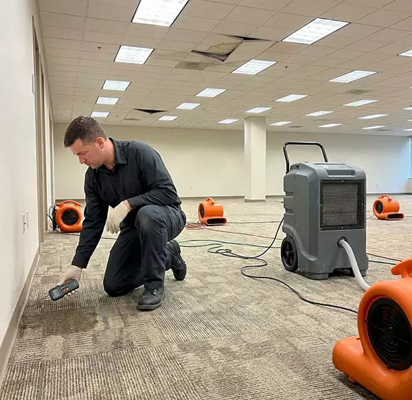 Why Businesses Choose Thousand Oaks Water Damage Pro for Commercial Water Damage in Thousand Oaks, CA?