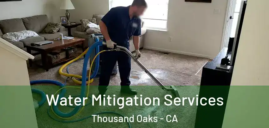  Water Mitigation Services Thousand Oaks - CA