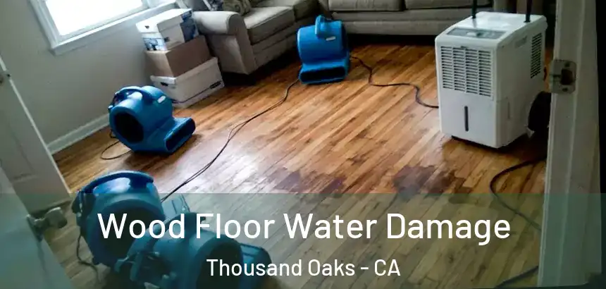 Wood Floor Water Damage Thousand Oaks - CA